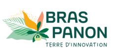 Logo Bras-Panon